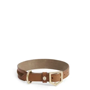 Hampton Dog Collar - Tan Leather and Suede
